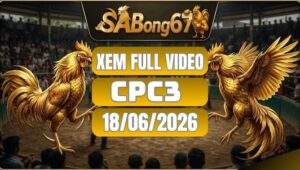 Phát Lại Đá Gà CPC3 Ngày 18/06/2026 Tại SABONG67